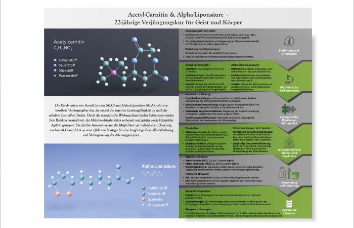 acetyl carnitin alpha liponsäure 3