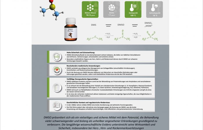 dmso übersichtslage final4